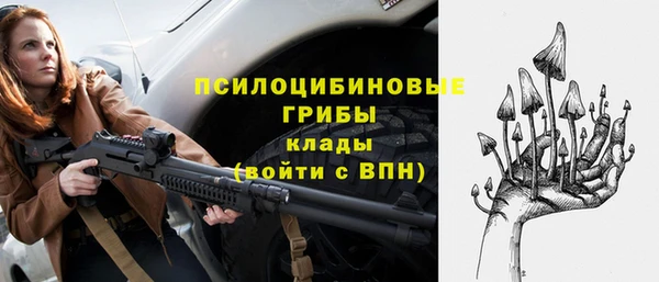ГАЛЛЮЦИНОГЕННЫЕ ГРИБЫ Медногорск