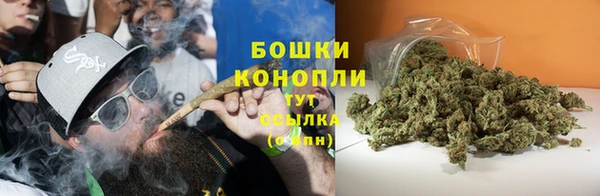 ГАЛЛЮЦИНОГЕННЫЕ ГРИБЫ Медногорск