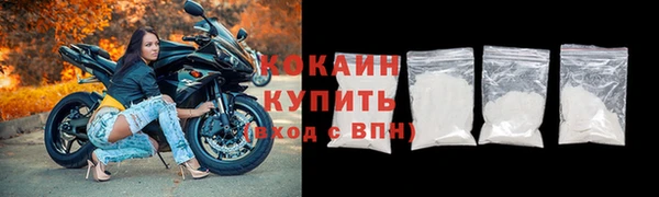 дживик Магас