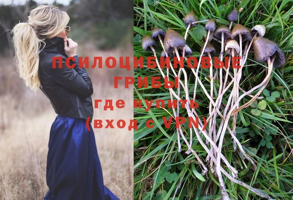 ГАЛЛЮЦИНОГЕННЫЕ ГРИБЫ Медногорск