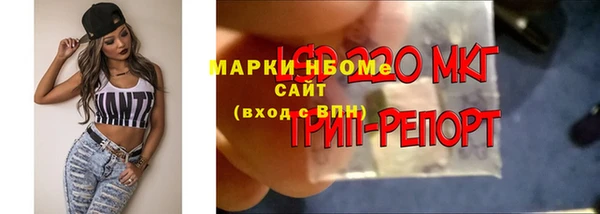 прущие крисы Медвежьегорск