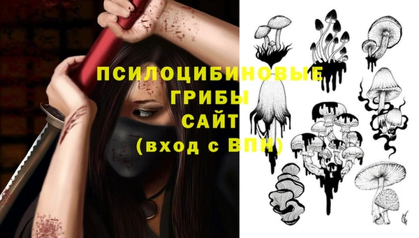 прущие крисы Медвежьегорск