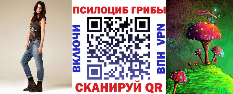 KRAKEN как войти  Туран  Псилоцибиновые грибы GOLDEN TEACHER 